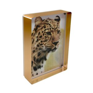 CANETTI DESIGN GROUP INC PRESTIGE MAGNET FRAME GOLD 4X6