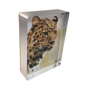 CANETTI DESIGN GROUP INC PRESTIGE MAGNET FRAME 4X6