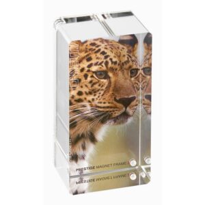 CANETTI DESIGN GROUP INC PRESTIGE MAG FRAME CLEAR 2X4