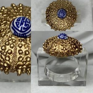 SOUTHERN TRIBUTE SEA URCHIN NAP RING SET/4 CLEAR