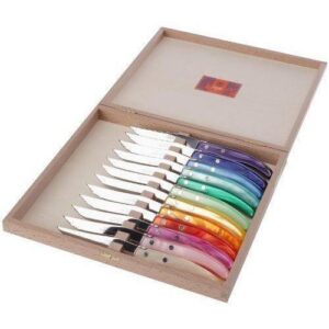 BERLINGOT STEAK KNIVES SET/12 ASST COLORS